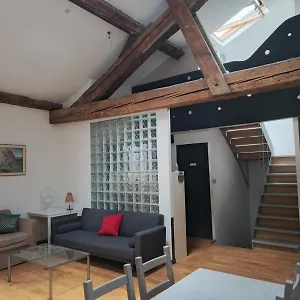 Loft Viarhona, Grand Loft En Centre-ville Alloggio in famiglia